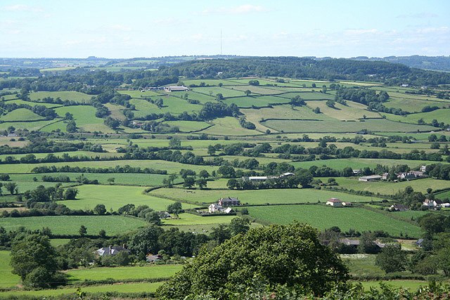 Honiton Landscape